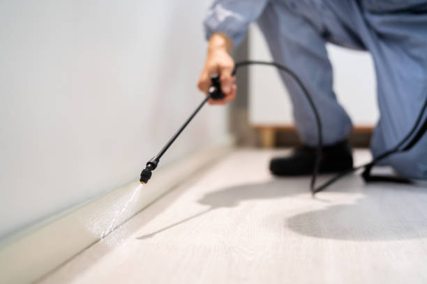 Licensed Mosquito Control service in Pioche, NV - Show Me Pest Control