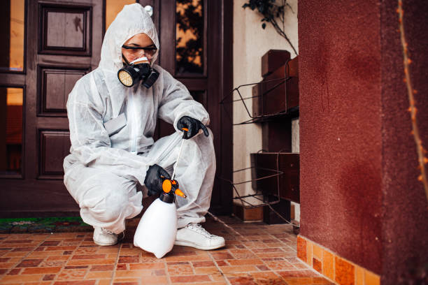 Reliable Mosquito Control contractor in Pioche, NV by Show Me Pest Control